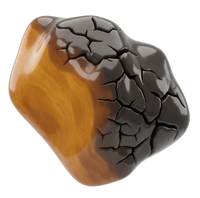 Chaga
