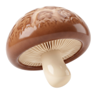 Shiitake